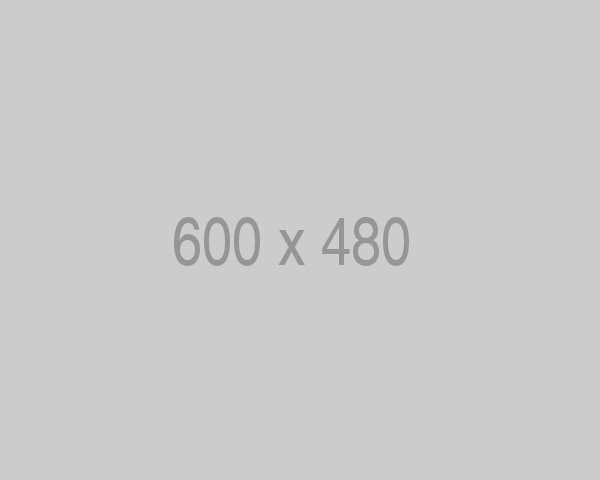 Rectangle 939